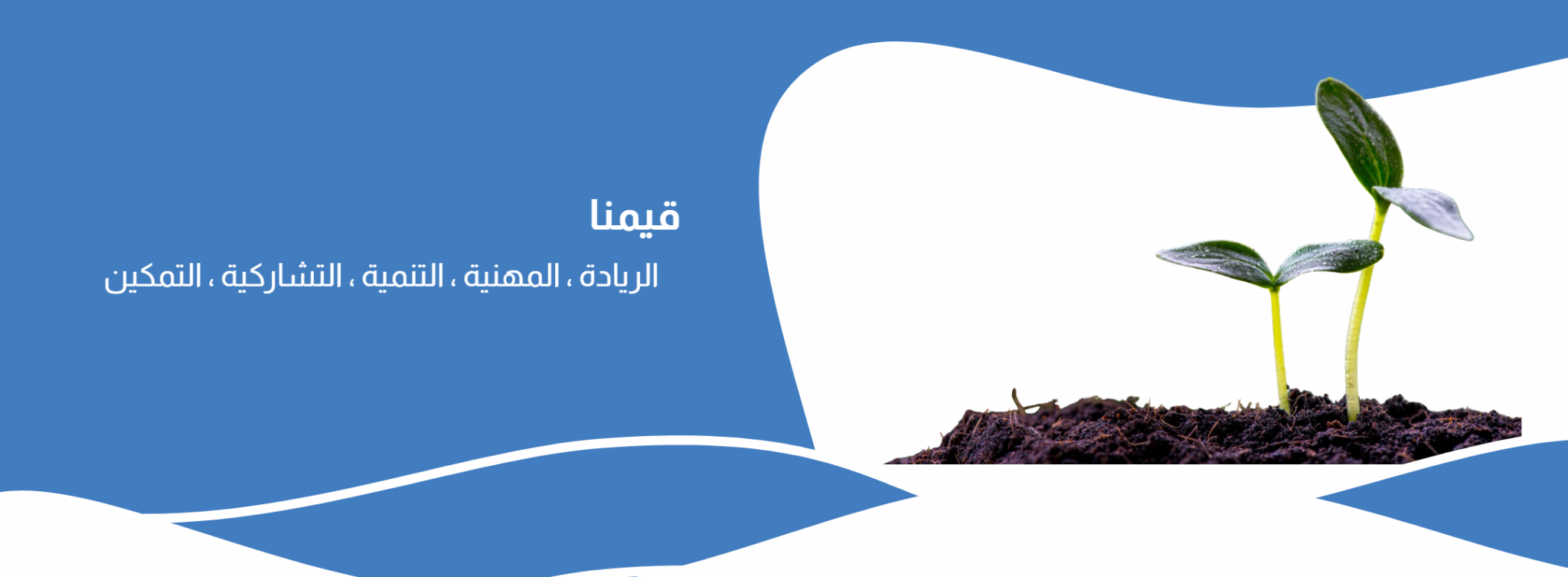 جمعية إنماء الأسرية بفيفاء