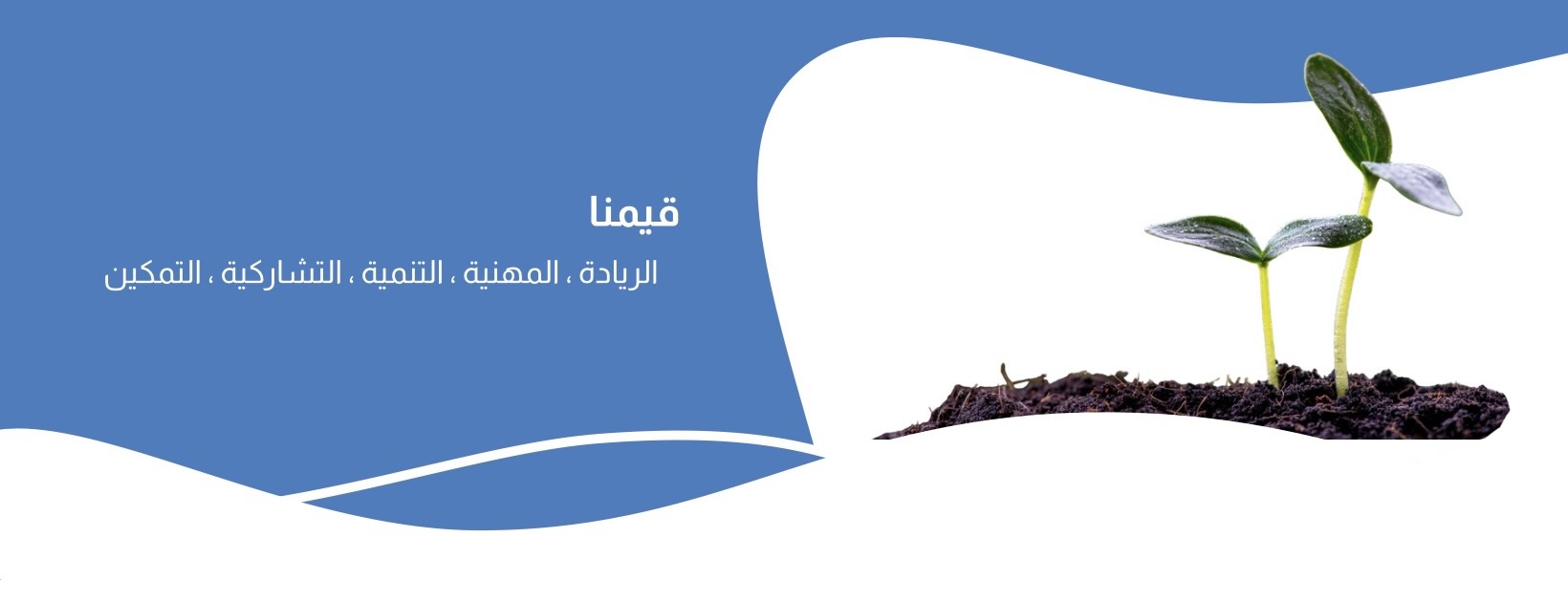 جمعية إنماء الأسرية بفيفاء