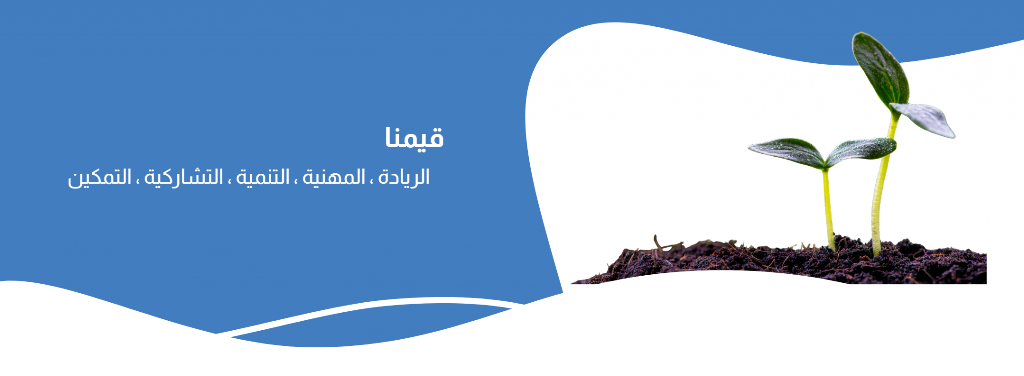 جمعية إنماء الأسرية بفيفاء