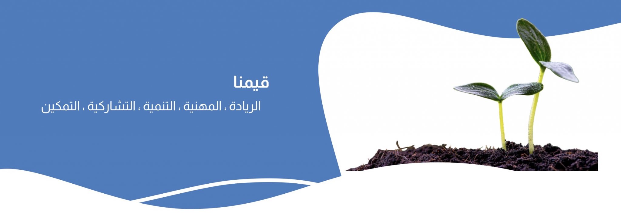 جمعية إنماء الأسرية بفيفاء